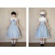 Nuit De Cellophane Peter Rabbit Blouse Top Skirt JSKs and OPs(Reservation/Full Payment Without Shipping)